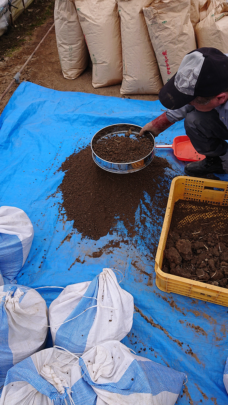 自然栽培の育苗用床土