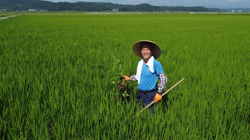 全国の皆様に残暑お見舞い申し上げます