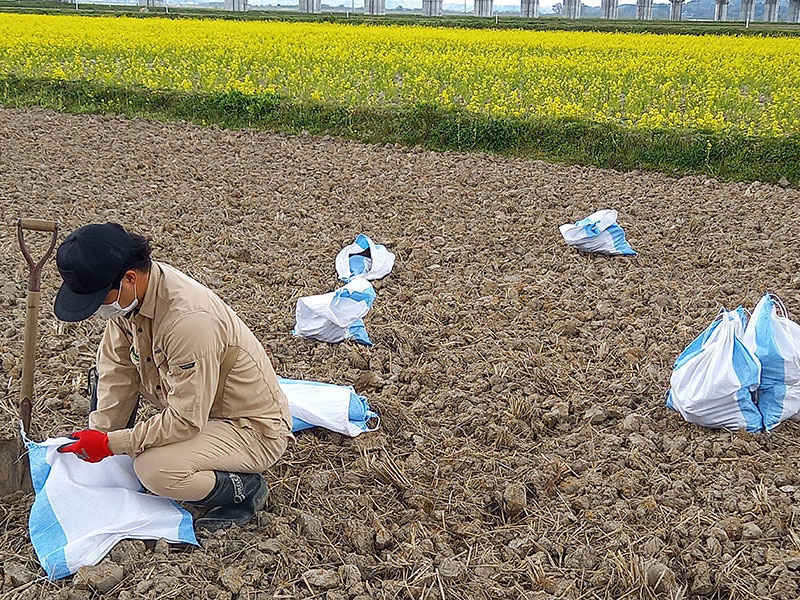 自然栽培圃場の土採取