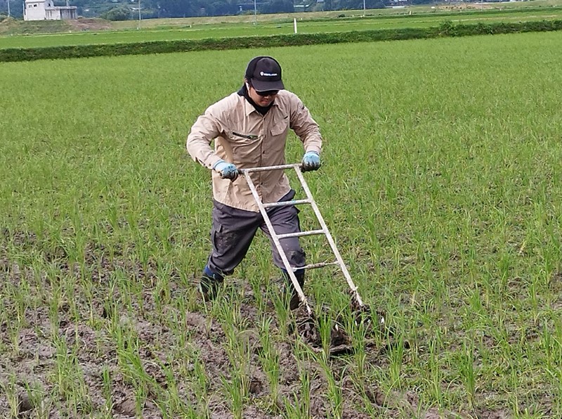 除草作業